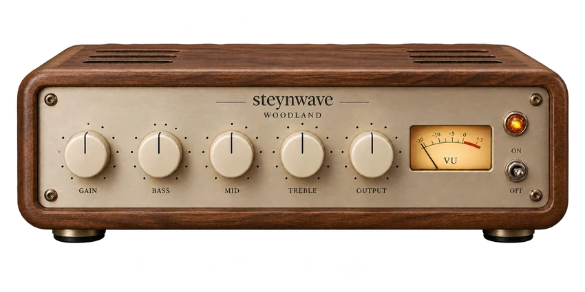 Original steynwave acoustic preamp artwork