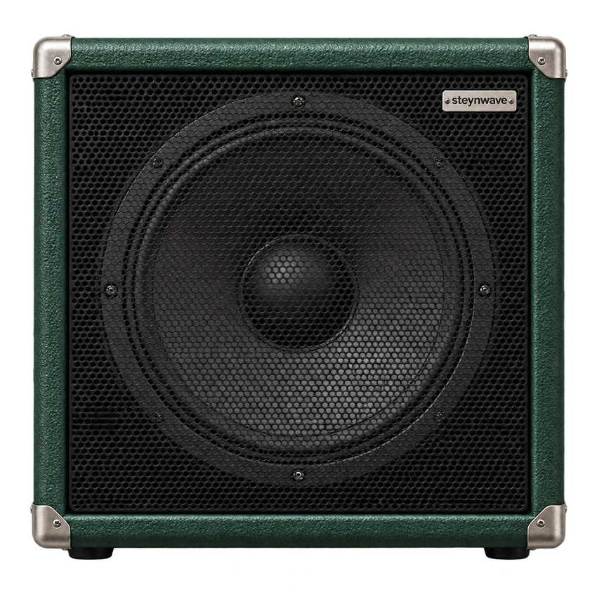 Original steynwave bass cabinet artwork